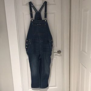 GAP denim overall Women size XL